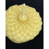 Acorn Pure Beeswax Candle, Ideal Gift, Home Decor ~ 105g