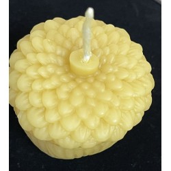 Acorn Pure Beeswax Candle, Ideal Gift, Home Decor ~ 105g