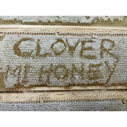 Clover honey 340g, 12oz