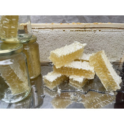 Honeycomb in summer blossom honey