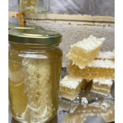Honeycomb in summer blossom honey