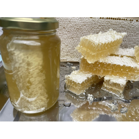 Honeycomb in summer blossom honey