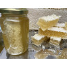 Honeycomb in summer blossom honey