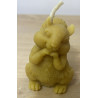 Squirrel Beeswax Candle, Ideal Gift for Animal Lovers or Home Decor ~95g
