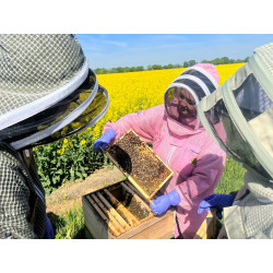 Beekeeping Experience Day – 2 Hour Guided Apiary Visit