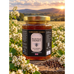 Buckwheat honey 340g, 12oz